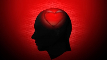 El amor está en el cerebro